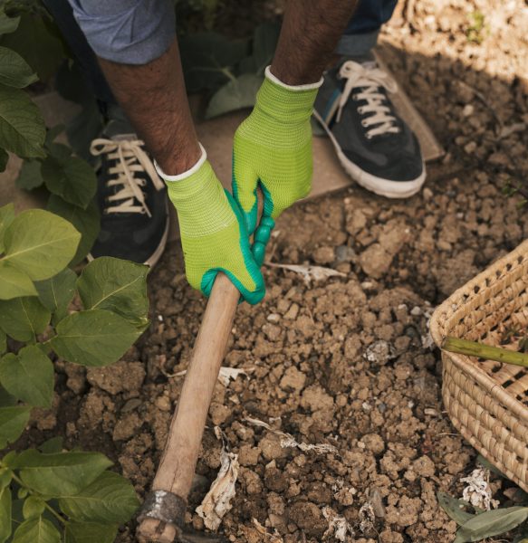 close up male gardener digging soil with hoe